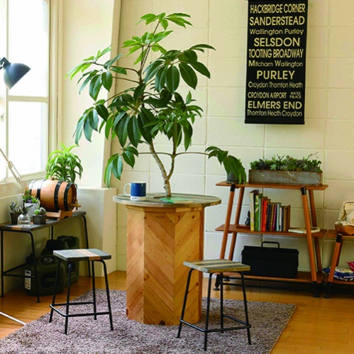 "แต่งบ้าน" แบบคนอยากออกไป "เที่ยว"