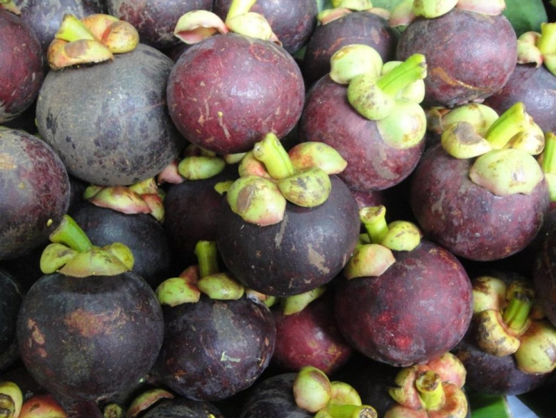 "มังคุด" ราชินีแห่งผลไม้ ของโปรด ประโยชน์เยอะ