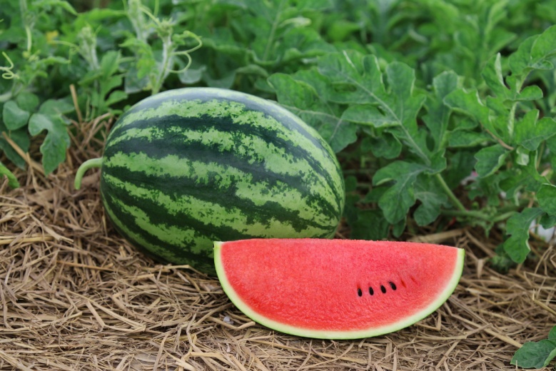 เผย 10 อันดับสุดยอด "ผลไม้" ช่วยให้คุณห่างไกลความ "อ้วน" แถมยังได้ผิวสวย