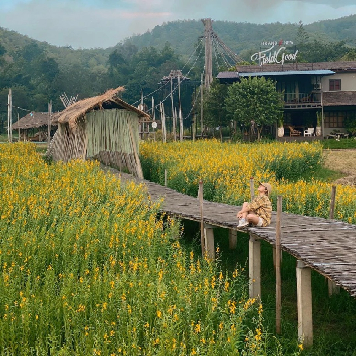 "นิว นภัสสร "ปิดร้านสังเวยโควิด-19 ร่ายยาวอ่านแล้วน้ำตาไหล