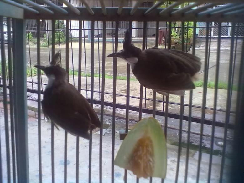 คุณเชื่อไหม.."14ลางบอกเหตุ"ตามความเชื่อโบราณ จะมีโชค หรือดวงตก