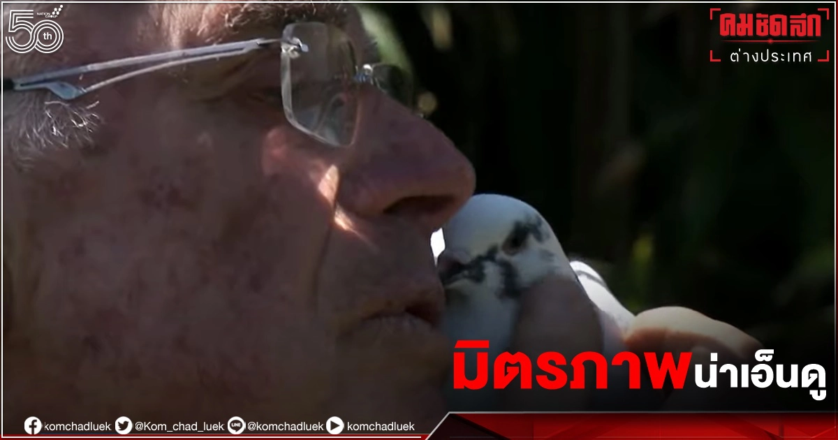 คุณปู่ฝรั่งเศสผู้มีเพื่อนซี้เป็น"นกพิราบ" ความผูกพันที่เริ่มจากการช่วยชีวิต (คลิป) คุณปู่ฝรั่งเศสผู้มีเพื่อนซี้เป็น"นกพิราบ" ความผูกพันที่เริ่มจากการช่วยชีวิต (คลิป)