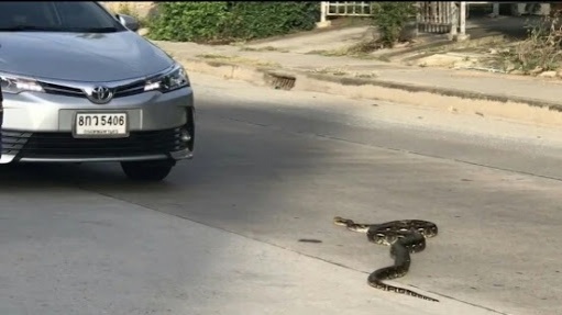 คุณเชื่อไหม.."14ลางบอกเหตุ"ตามความเชื่อโบราณ จะมีโชค หรือดวงตก