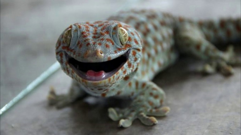 คุณเชื่อไหม.."14ลางบอกเหตุ"ตามความเชื่อโบราณ จะมีโชค หรือดวงตก