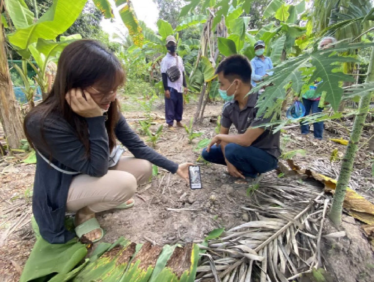  เชื่อมาให้โชค แห่ส่องเลขที่บ้าน หลังพบ"เห็ดมือผี"โผล่บ้านคุณยายสุรินทร์ วัย 68 ปี