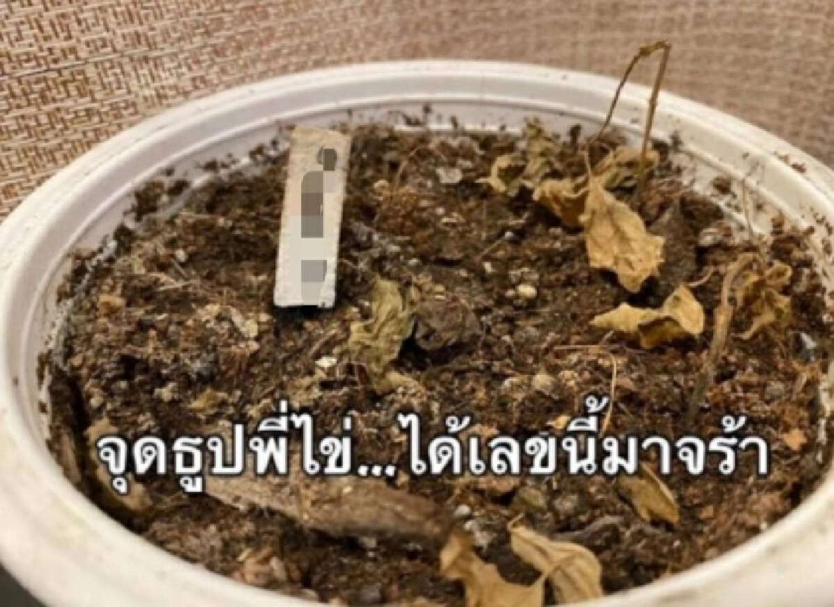 โค้งสุดท้าย"รวมเลขเด็ด"คนดัง ส่องก่อนผลออก งวด 1 ก.ค.64