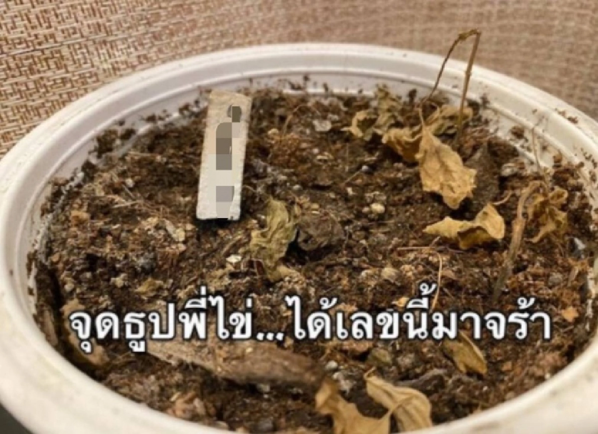 เลขเด็ดไอ้ไข่ "ปู โลกเบี้ยว" ให้เลข 3 ตัวตรง 