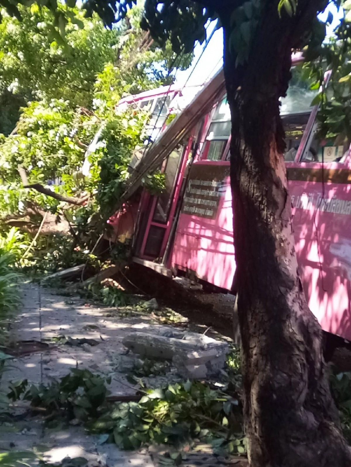 รถเมล์ "สาย 8" ในตำนาน อีกแล้วครับท่าน คราวนี้ ซิ่งชนเสาไฟฟ้า ล้ม 6 ต้น