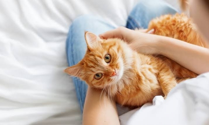  พลังแห่ง "การสัมผัส" ช่วยผ่อนคลายจิตใจได้มากกว่าที่คิด