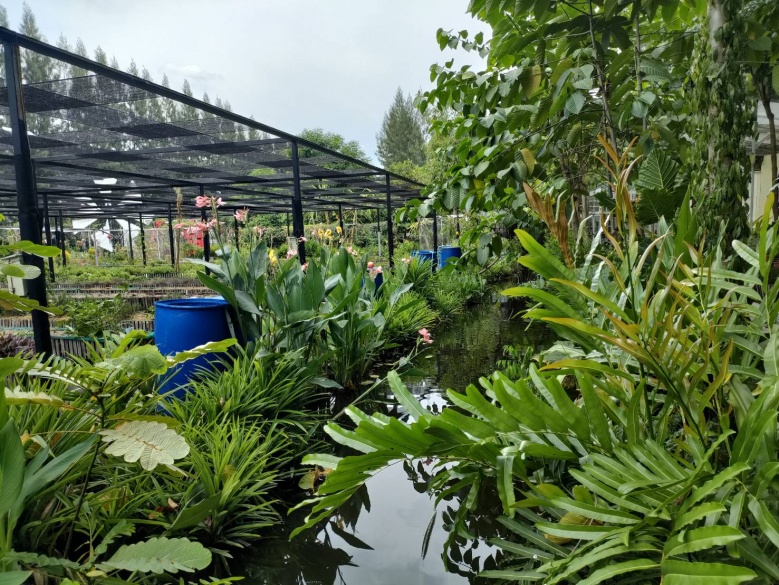 เที่ยวชม Res-Q Farm เกษตรกลางกรุง ค่าไฟ 0 บาท