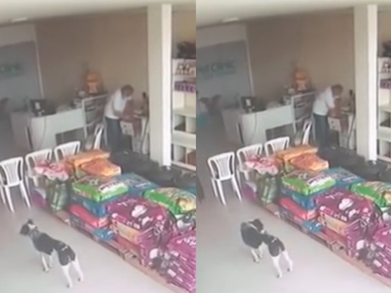 "สุนัขจรจัด" บาดเจ็บเดินเข้าคลินิกหาหมอเอง