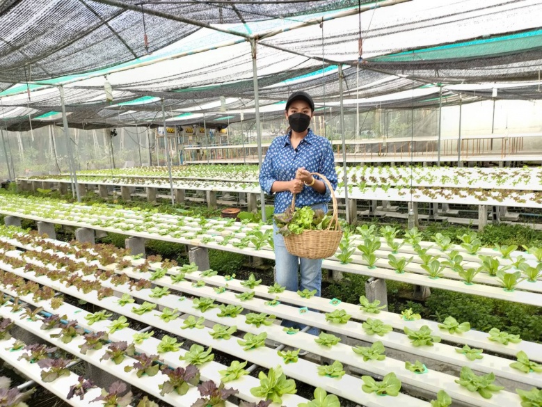 เที่ยวชม Res-Q Farm เกษตรกลางกรุง ค่าไฟ 0 บาท