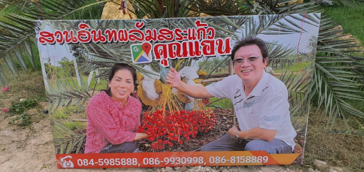 เช็ค อิน กิน เที่ยว "สวนอินทผลัมคุณแอน" จ.สระแก้ว 