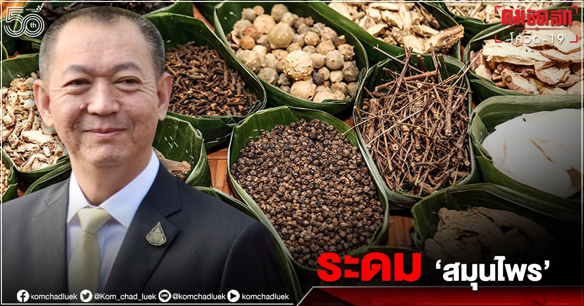  "เฉลิมชัย" ระดม 6 พันคลินิก ใช้ 'สมุนไพร-ตำรับยาไทย' รักษาโควิด