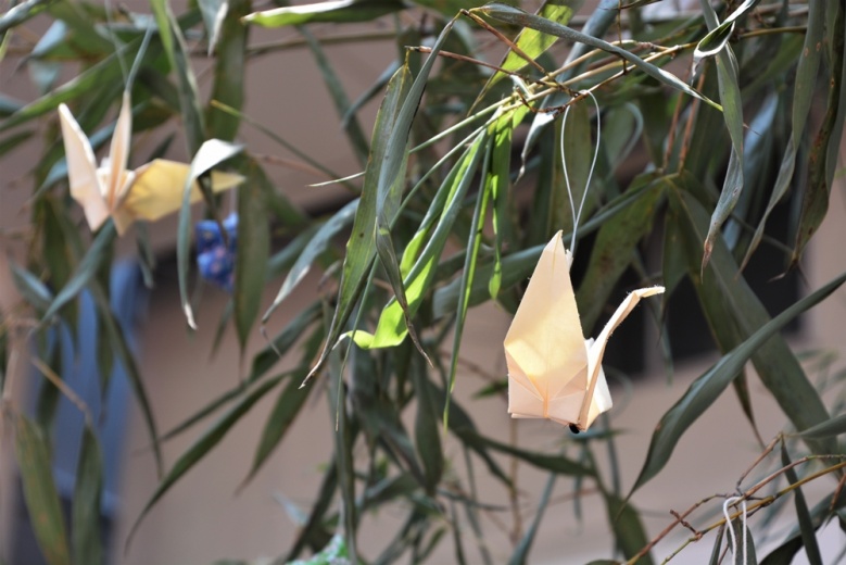  7 เดือน 7 "เทศกาลทานาบาตะ" กับเรื่องเล่าตำนานญี่ปุ่น "เจ้าหญิงทอผ้า" กับ "ชายเลี้ยงวัว"