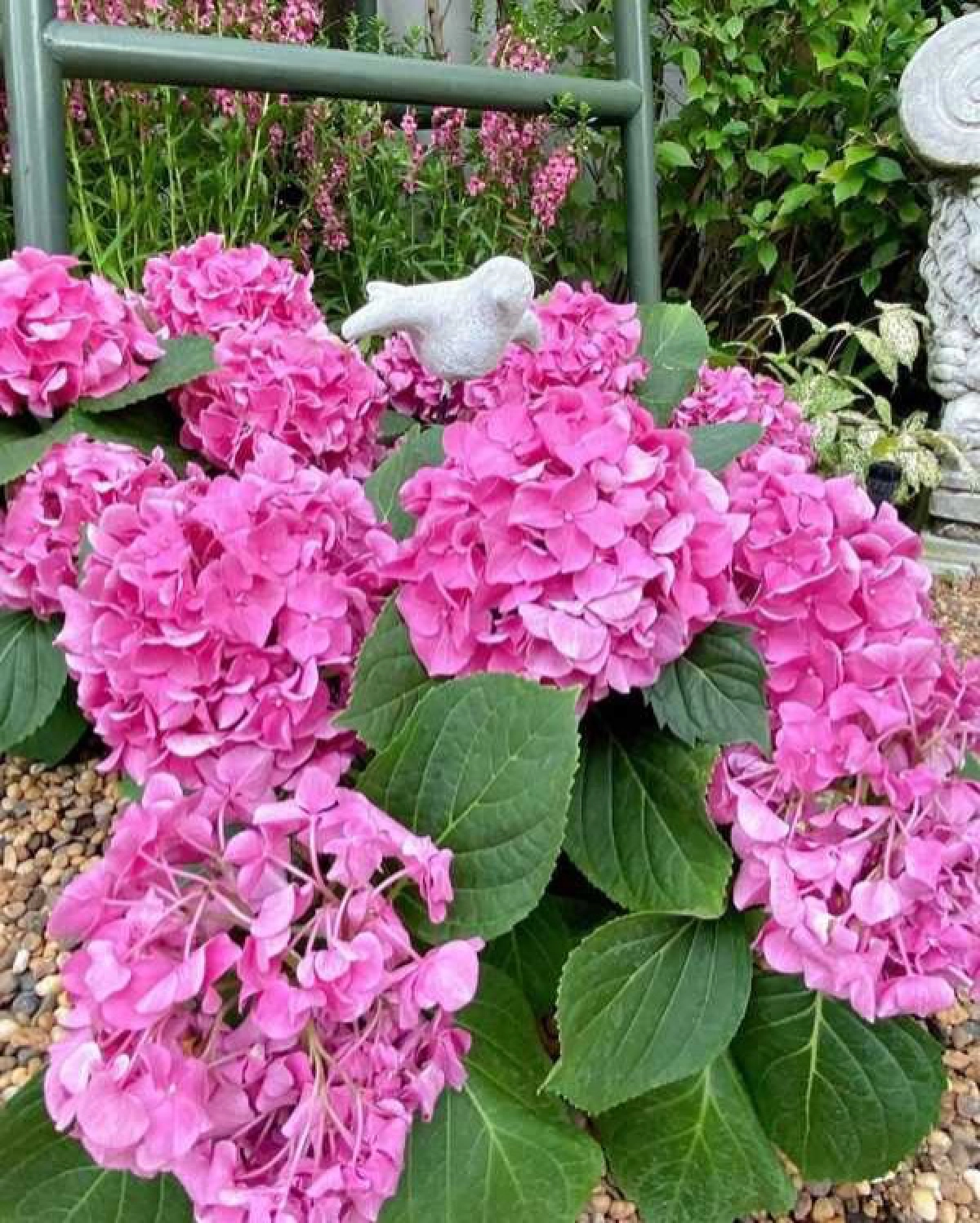 "ซี ศิวัฒน์" เนรมิตดอกไม้ทั้งสวน เซอร์ไพรส์วันเกิด "เอมี่"