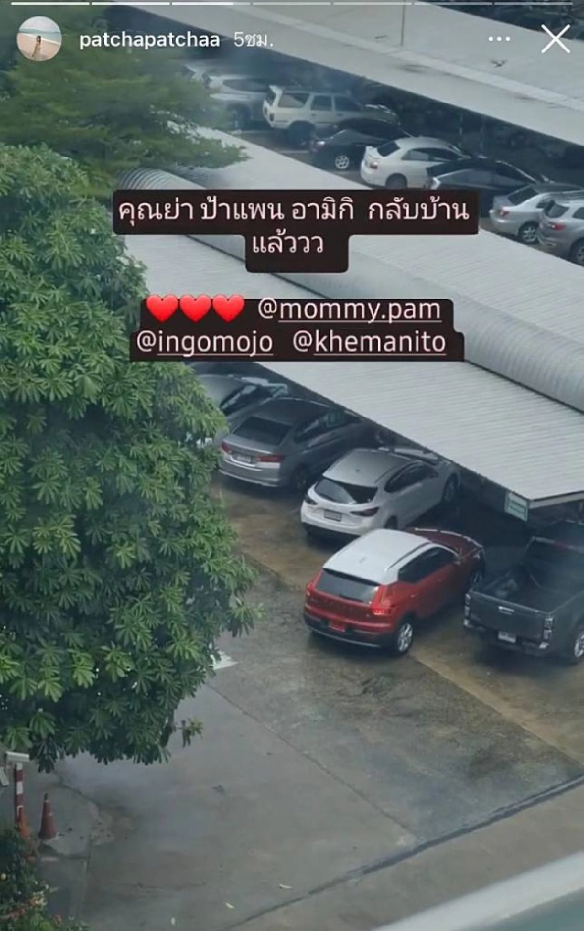 หายป่วยโควิด กลับบ้าน ทั้ง "แพนเค้ก คุณแม่และน้องมิกิ"