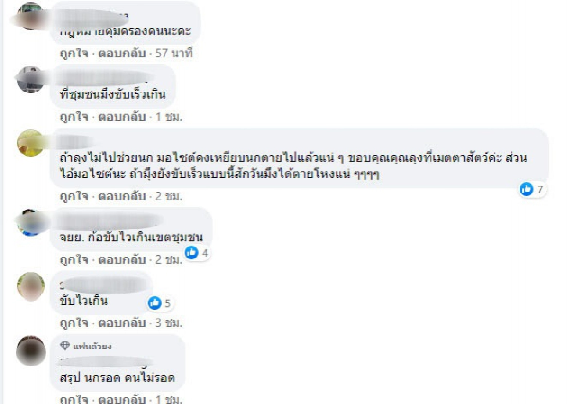  ไม่ทันระวัง ลุงรีบข้ามถนนจะไป"ช่วยนก" เจอ จยย.เสยเข้าให้เจ็บทั้งคู่   