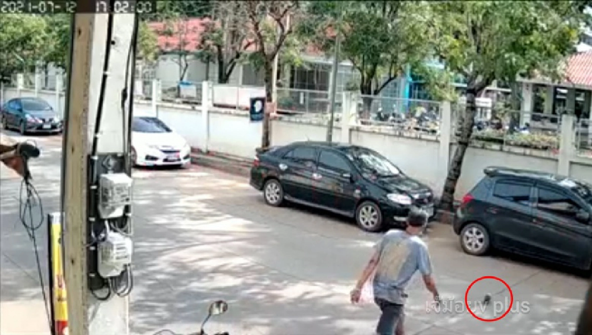  ไม่ทันระวัง ลุงรีบข้ามถนนจะไป"ช่วยนก" เจอ จยย.เสยเข้าให้เจ็บทั้งคู่   
