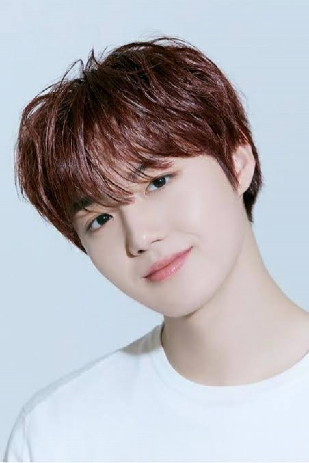 โควิด-19 ป่วนบันเทิงเกาหลี ยัยตัวร้ายเสี่ยง นางแบบเซ็กซี่-สมาชิกวง Treasure ผลบวก