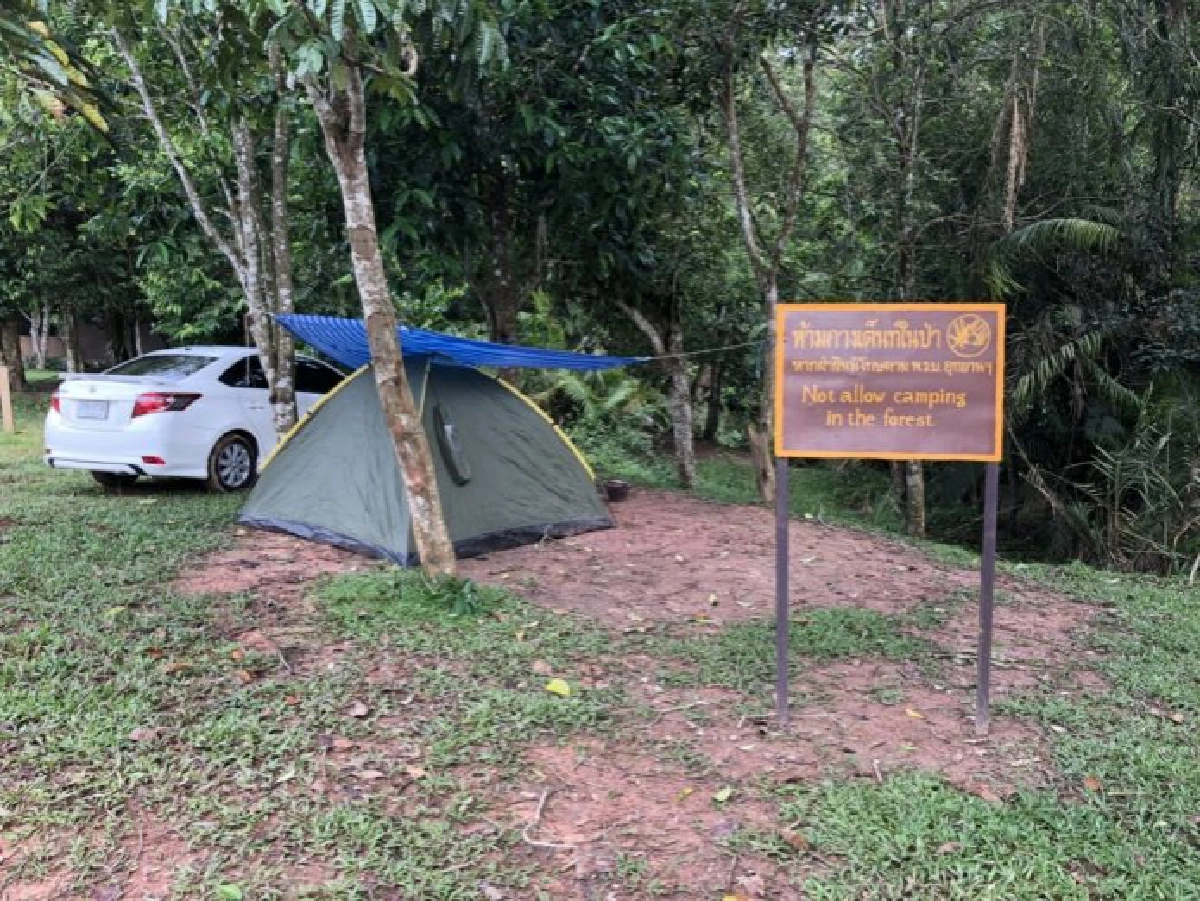 Wilderness เราควรจะรักหรืออย่าไปยุ่งกับธรรมชาติ