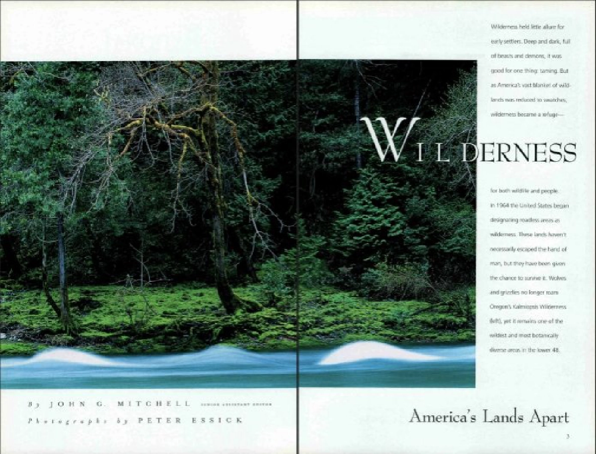 Wilderness เราควรจะรักหรืออย่าไปยุ่งกับธรรมชาติ