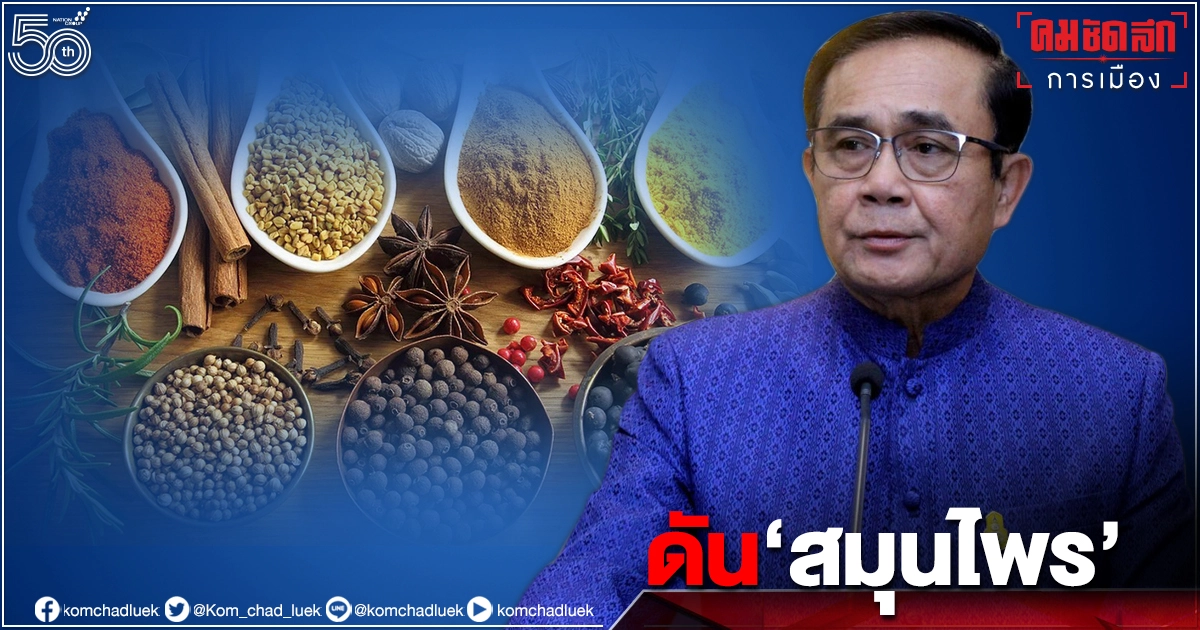 "รัฐบาล"ดัน"อุตสาหกรรมสมุนไพร"ส่งออกโตร้อยละ 93 ส่งเสริมปลูก"ฟ้าทะลายโจร" "รัฐบาล"ดัน"อุตสาหกรรมสมุนไพร"ส่งออกโตร้อยละ 93 ส่งเสริมปลูก"ฟ้าทะลายโจร"