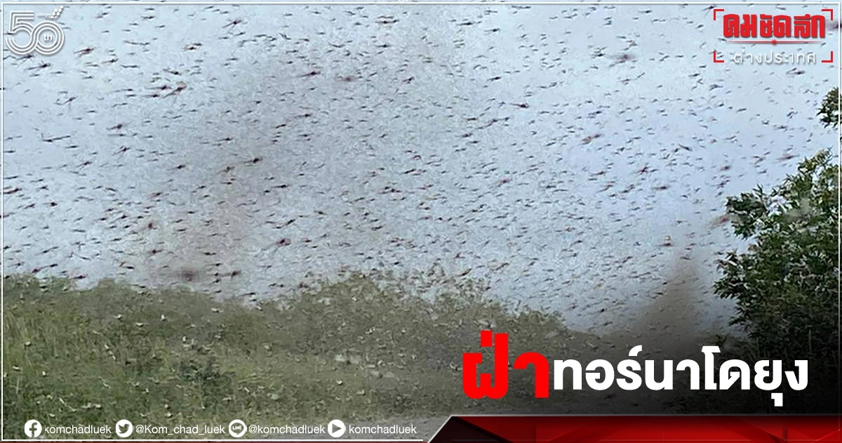 สะพรึง! ชาวรัสเซียแชร์คลิปขณะขับรถฝ่า"ทอร์นาโดยุง" มืดฟ้ามัวดิน (คลิป) สะพรึง! ชาวรัสเซียแชร์คลิปขณะขับรถฝ่า"ทอร์นาโดยุง" มืดฟ้ามัวดิน (คลิป)
