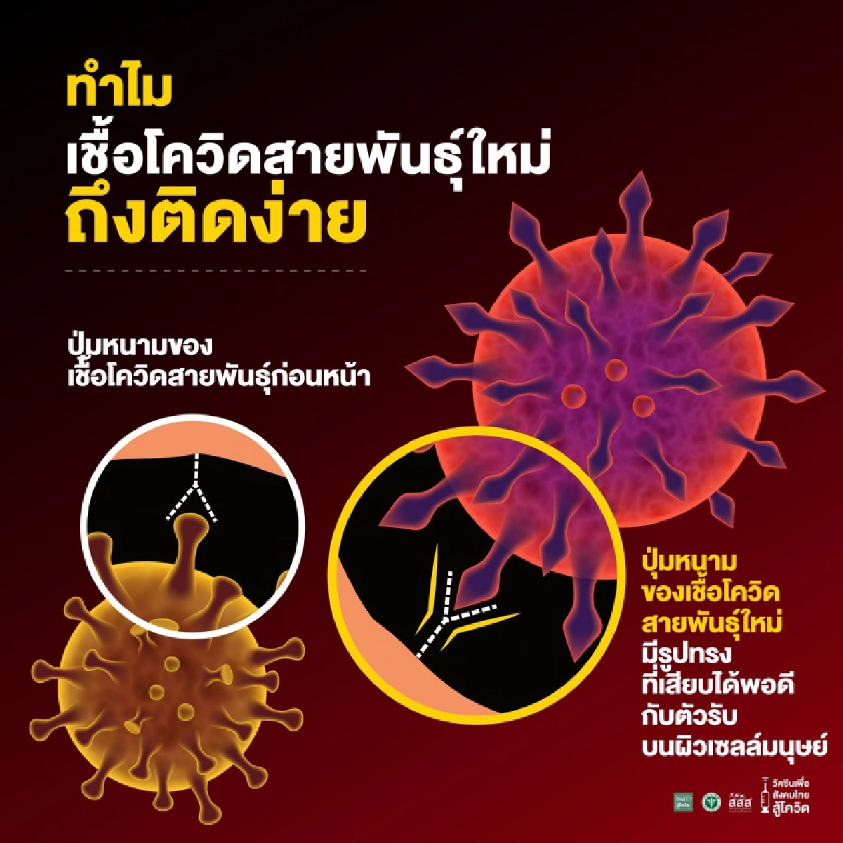 "ล็อกดาวน์" 13 จังหวัด สธ. ขอความร่วมมือ ห้ามออกนอกบ้าน 100 เปอร์เซ็นต์