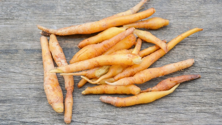 "ธรรมนัส"จับมือ" ส.ป.ก." -" พด." เร่งขับเคลื่อนปลูก"ฟ้าทะลายโจร" " กระชายขาว" สมุนไพรสู้"โควิด-19"