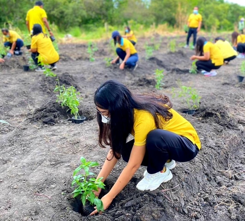 "ธรรมนัส"จับมือ" ส.ป.ก." -" พด." เร่งขับเคลื่อนปลูก"ฟ้าทะลายโจร" " กระชายขาว" สมุนไพรสู้"โควิด-19"