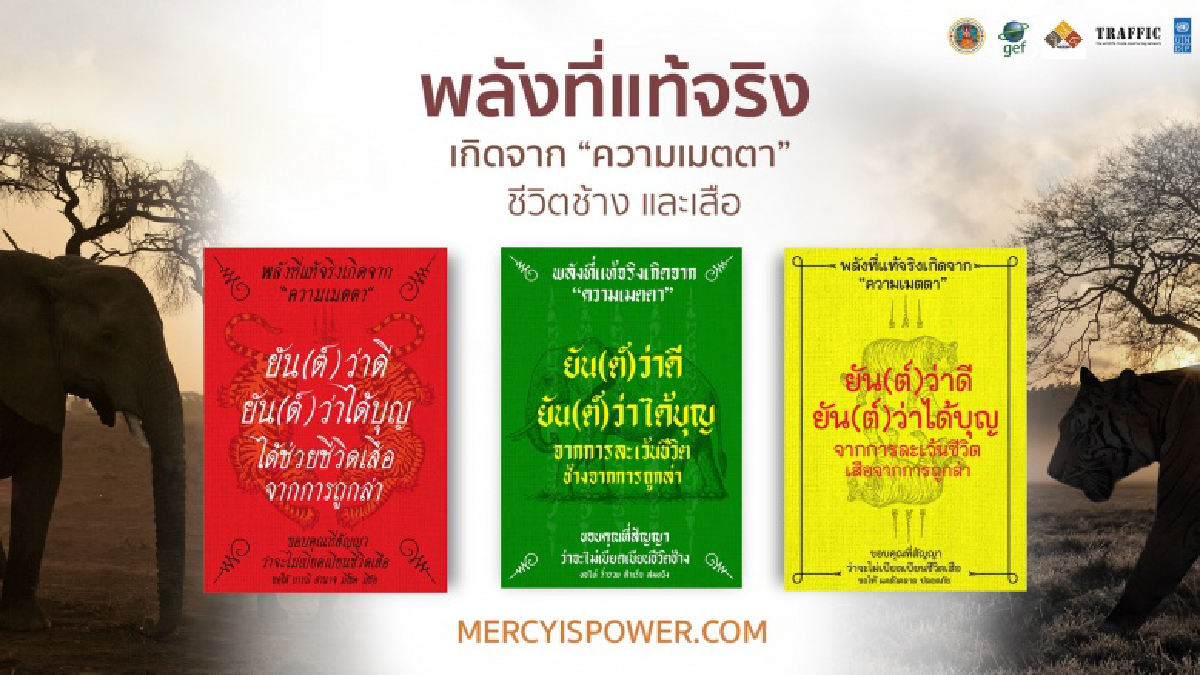 แคมเปญ \'Mercy is Power\' ชวนคนไทยให้คำมั่น ไม่ซื้อไม่ครอบครองฯช้าง-เสือ