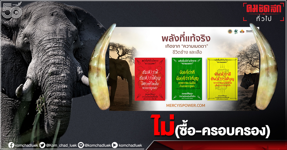 แคมเปญ 'Mercy is Power' ชวนคนไทยให้คำมั่น ไม่ซื้อไม่ครอบครองฯช้าง-เสือ แคมเปญ 'Mercy is Power' ชวนคนไทยให้คำมั่น ไม่ซื้อไม่ครอบครองฯช้าง-เสือ