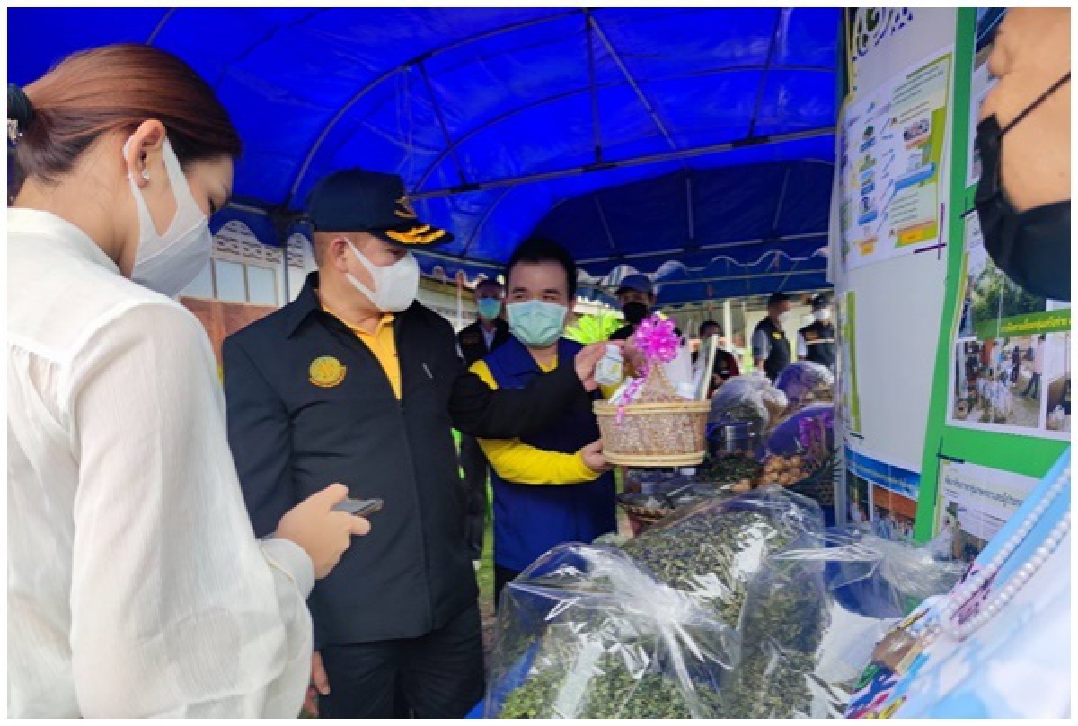 "ธรรมนัส" หนุนเกษตรกรขยายพื้นที่ปลูก"ฟ้าทะลายโจร-กระชายขาว"เพิ่มรายได้