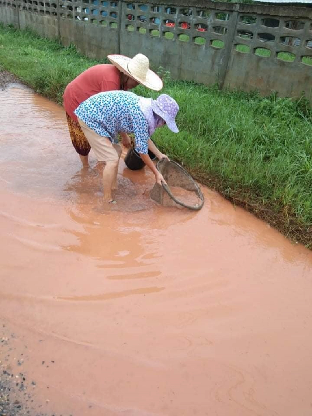 สุดทน ถนนเป็นหลุมเป็นบ่อไร้หน่วยงานดูแล โพสต์ลงโซเชียลฯดำนา-จับปลาโชว์