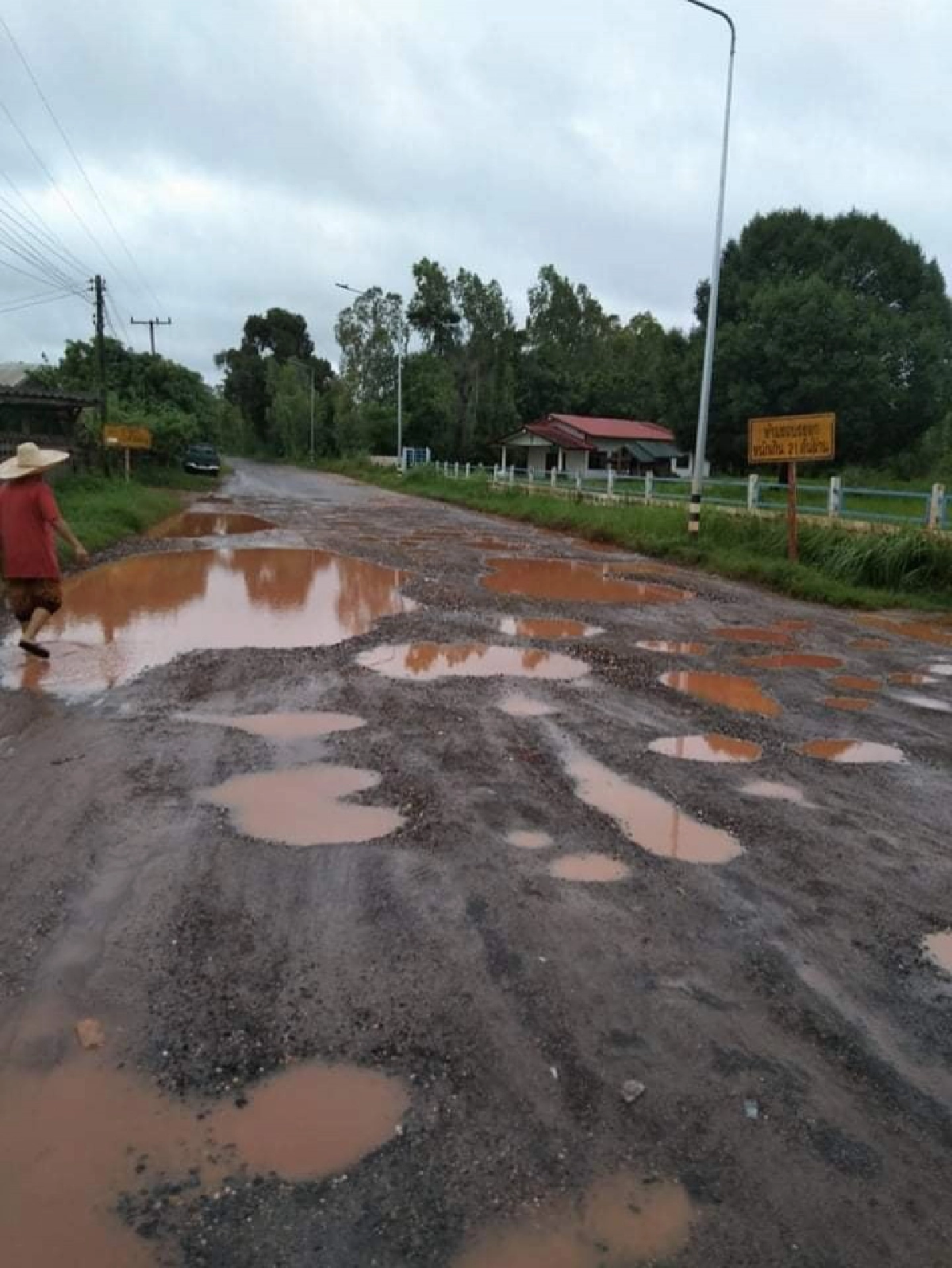 สุดทน ถนนเป็นหลุมเป็นบ่อไร้หน่วยงานดูแล โพสต์ลงโซเชียลฯดำนา-จับปลาโชว์