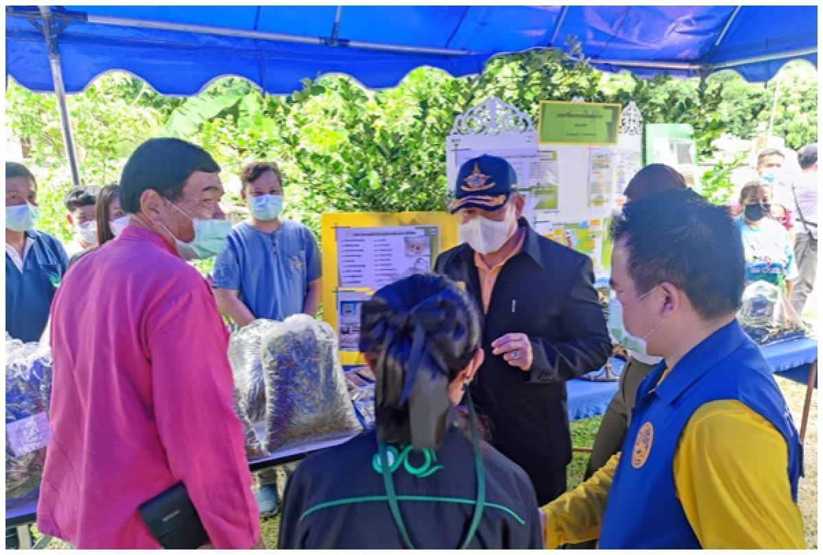 "ธรรมนัส" หนุนเกษตรกรขยายพื้นที่ปลูก"ฟ้าทะลายโจร-กระชายขาว"เพิ่มรายได้