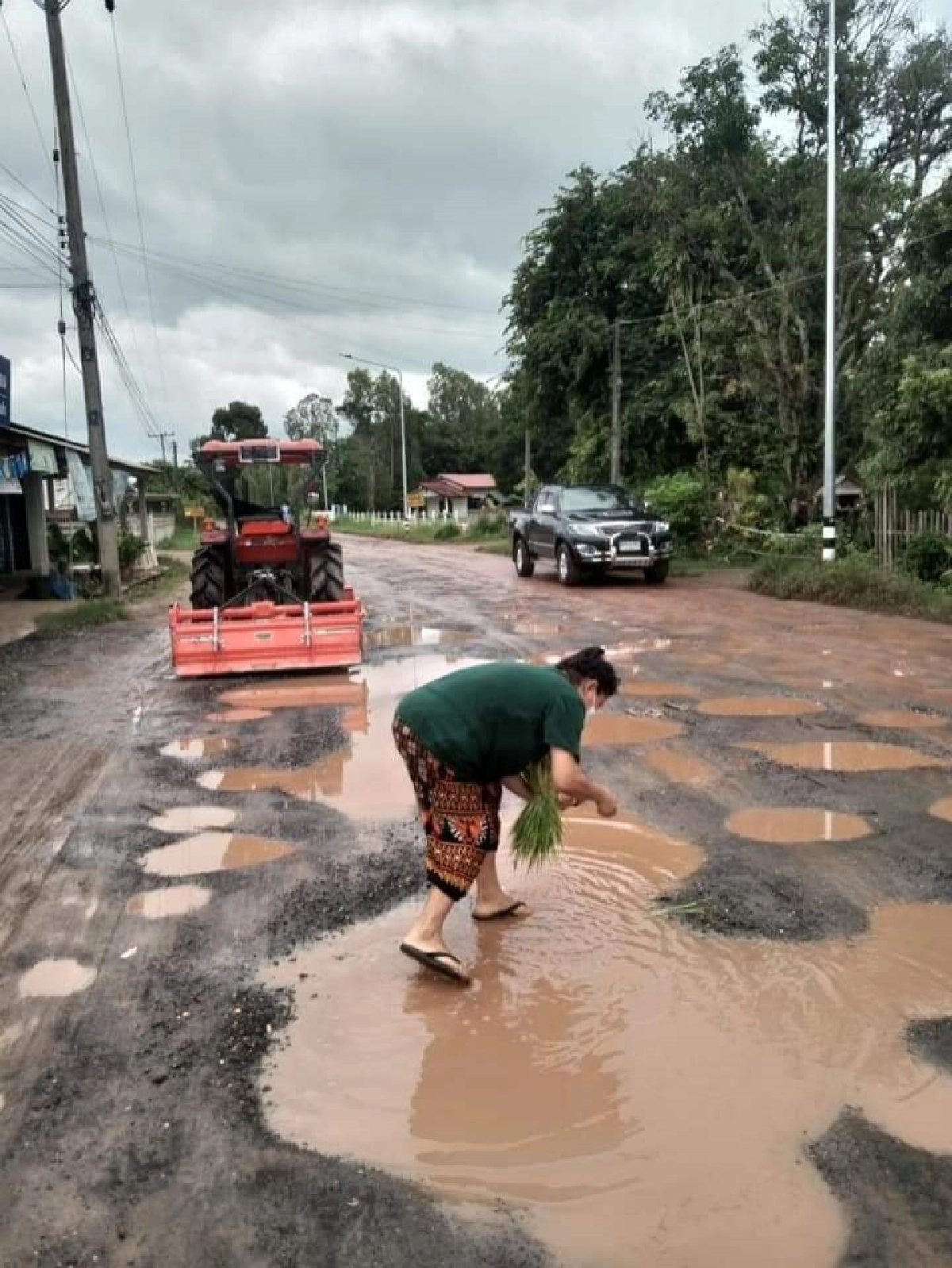 สุดทน ถนนเป็นหลุมเป็นบ่อไร้หน่วยงานดูแล โพสต์ลงโซเชียลฯดำนา-จับปลาโชว์