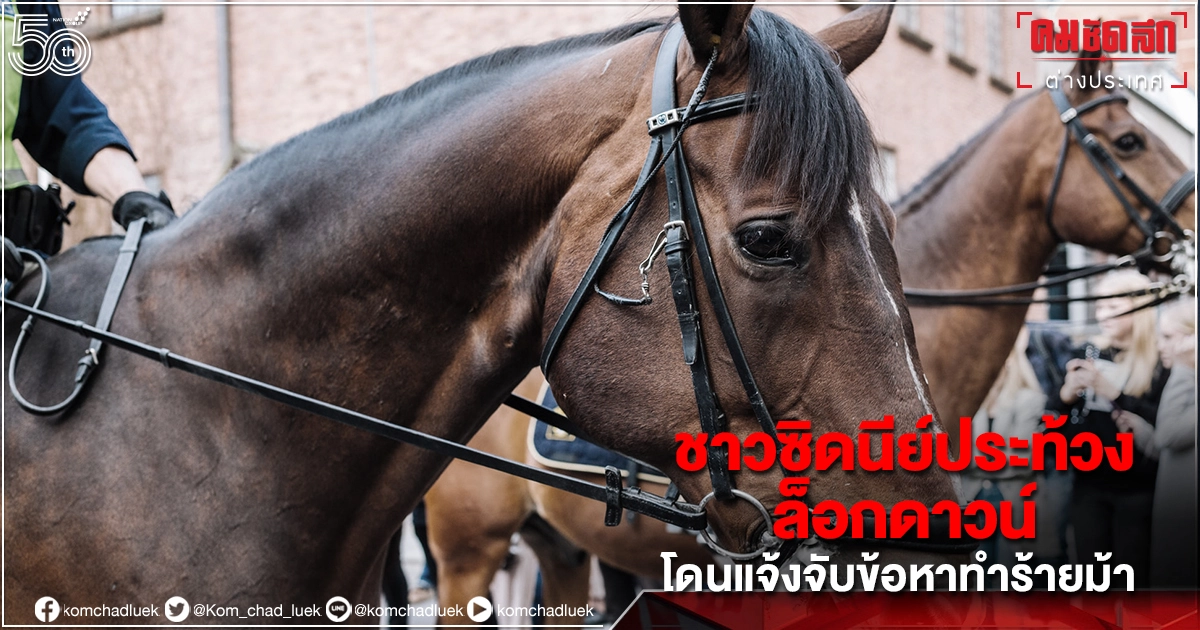 ชาวซิดนีย์ประท้วงล็อกดาวน์ โดนแจ้งจับในข้อหาทำร้ายม้าเจ้าหน้าที่ตำรวจ ชาวซิดนีย์ประท้วงล็อกดาวน์ โดนแจ้งจับในข้อหาทำร้ายม้าเจ้าหน้าที่ตำรวจ
