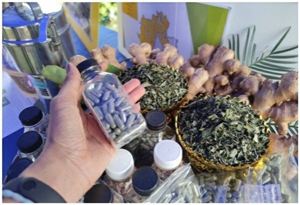 รมช.เกษตรฯ " ร.อ. ธรรมนัส พรหมเผ่า"ขับเคลื่อนการตลาด"ฟ้าทะลายโจร" จับคู่"ผู้ประกอบการ"กับ"กลุ่มเกษตรกร"