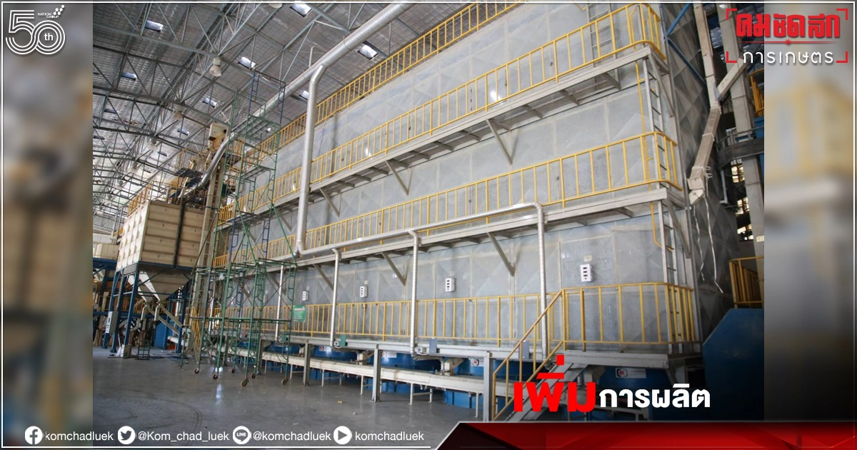 "กรมการข้าว"เร่งเพิ่มศักยภาพการผลิต"เมล็ดพันธุ์ข้าว"ให้เพียงพอ ตั้งเป้าผลิตให้ได้ 152,000 ตัน/ปี 