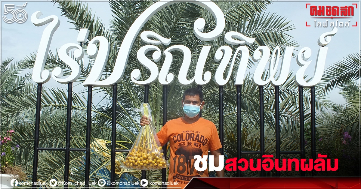 ชมไร่ปริณทิพย์ "สวนอินทผลัม" เกษตรอินทรีย์ โครงการพระราชประสงค์ดอนขุนห้วย ชะอำ ชมไร่ปริณทิพย์ "สวนอินทผลัม" เกษตรอินทรีย์ โครงการพระราชประสงค์ดอนขุนห้วย ชะอำ