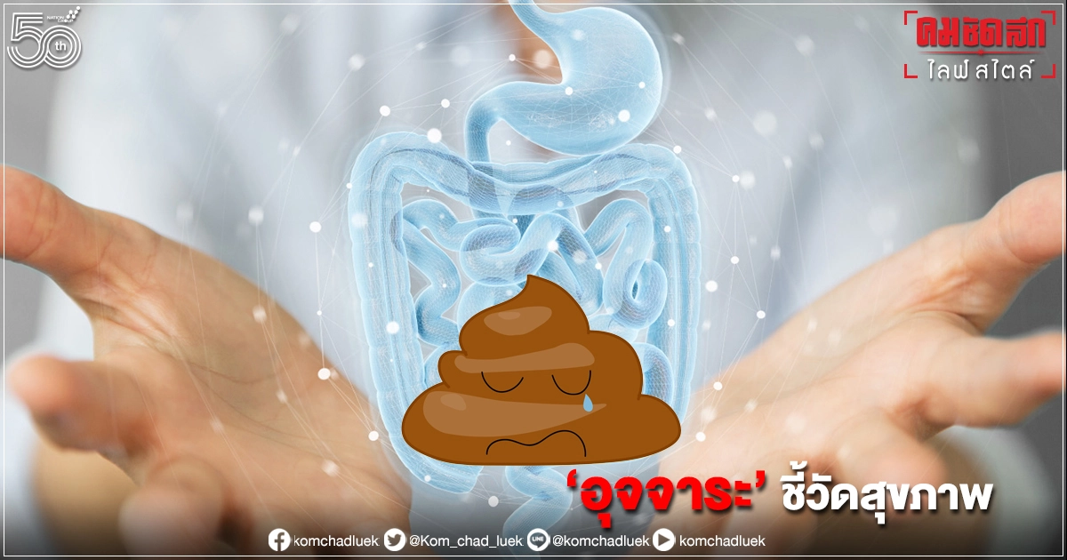 "อุจจาระ" บ่งบอกอะไรได้บ้าง "อุจจาระ" บ่งบอกอะไรได้บ้าง