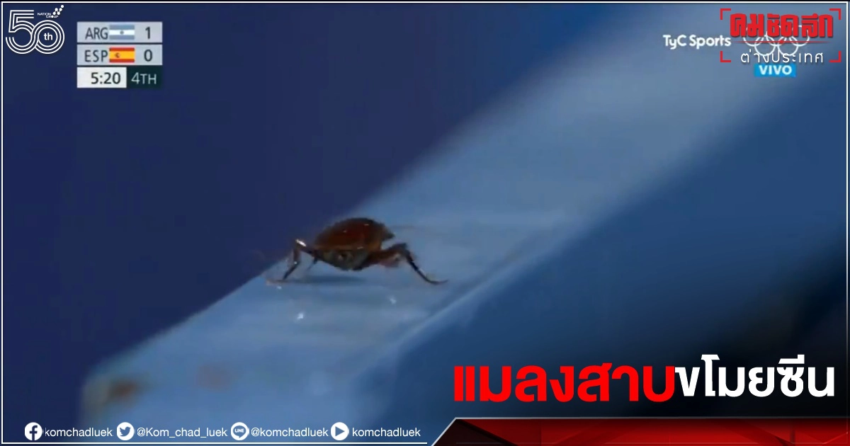 ทะลุ 7 ล้านวิว คลิปโมเมนต์ช่างภาพโอลิมปิกโฟกัส"แมลงสาบ" แทนการแข่งขันฮอกกี้ ทะลุ 7 ล้านวิว คลิปโมเมนต์ช่างภาพโอลิมปิกโฟกัส"แมลงสาบ" แทนการแข่งขันฮอกกี้