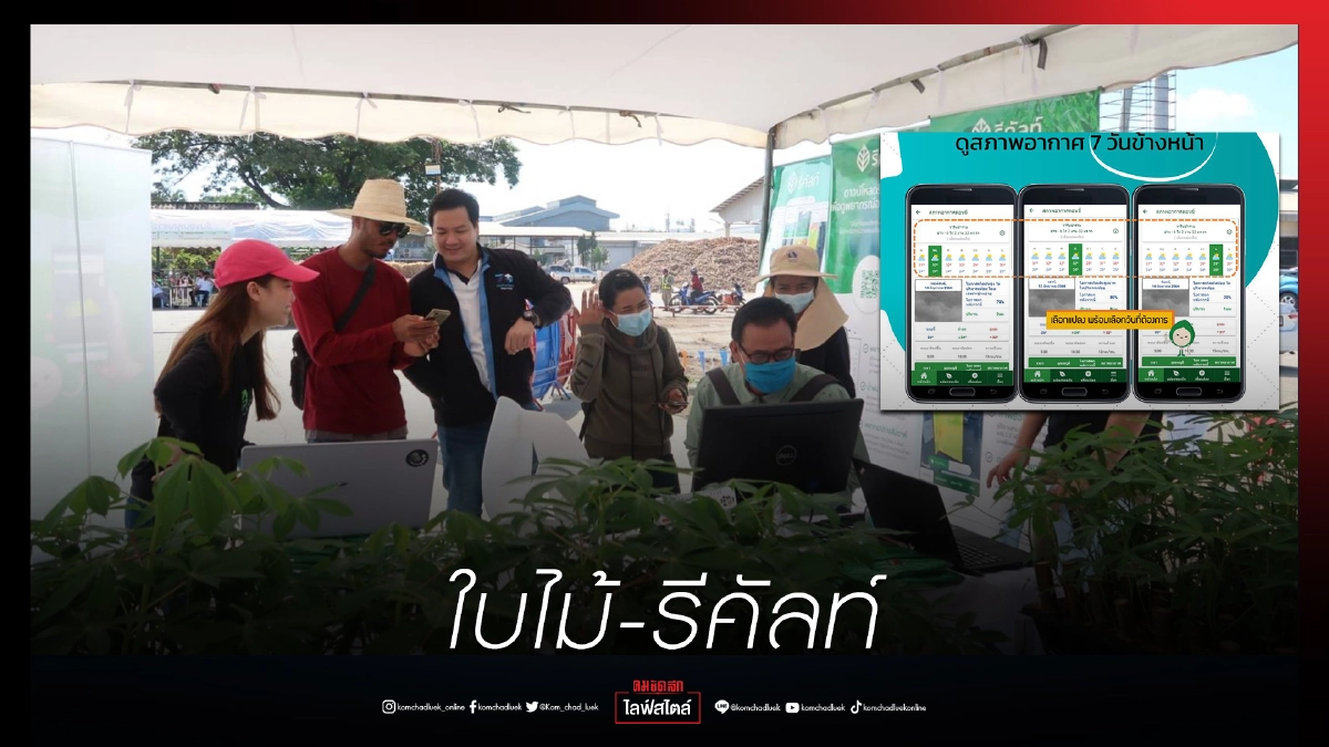 "ใบไม้-รีคัลท์" แอปพลิเคชันที่จะช่วยเกษตรกรจัดการกระบวนการ"เพาะปลูกอย่างครบวงจร" "ใบไม้-รีคัลท์" แอปพลิเคชันที่จะช่วยเกษตรกรจัดการกระบวนการ"เพาะปลูกอย่างครบวงจร"
