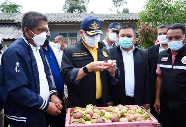 "ร.อ.ธรรมนัส พรหมเผ่า"  รมช.เกษตรฯลงพื้นที่ช่วยชาวสวน"มังคุด"เมืองคอน