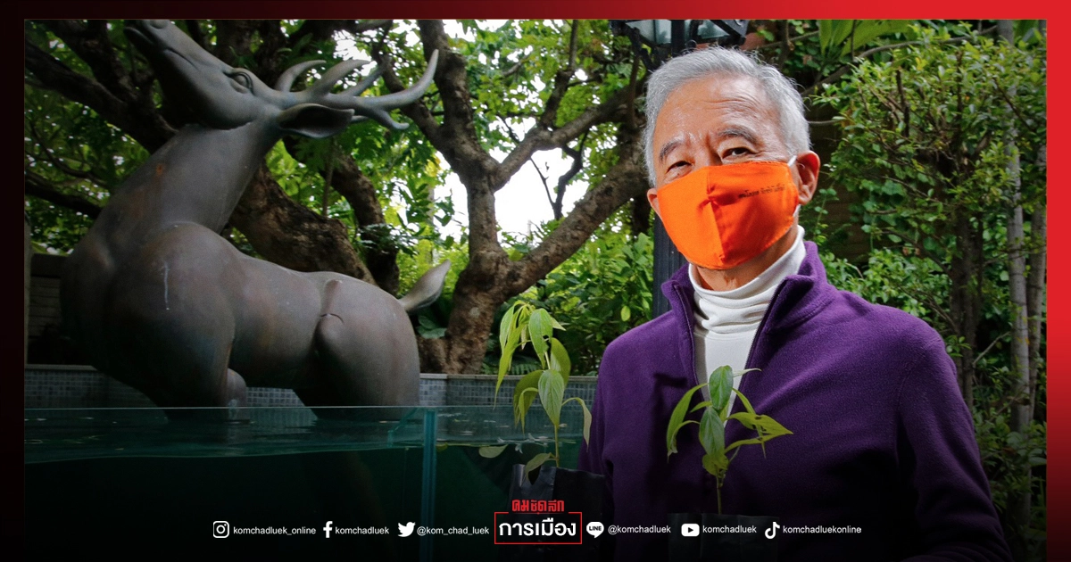 สร้างขวัญกำลังใจ 6 ส.ค.นี้ "สุวัจน์" นำแจกฟรีต้นกล้าฟ้าทะลายโจร สร้างขวัญกำลังใจ 6 ส.ค.นี้ "สุวัจน์" นำแจกฟรีต้นกล้าฟ้าทะลายโจร