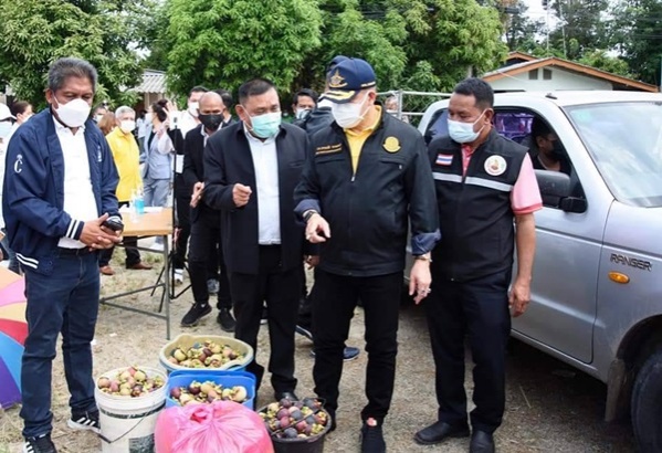 "ร.อ.ธรรมนัส พรหมเผ่า"  รมช.เกษตรฯลงพื้นที่ช่วยชาวสวน"มังคุด"เมืองคอน