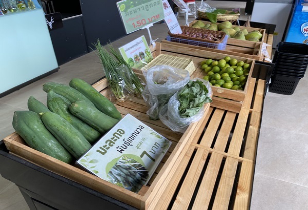 "แปลงสาธิตเกษตรทฤษฎีใหม่ "ศูนย์ห้วยทรายฯ รูปแบบมีกินมีขายได้ทั้งปี