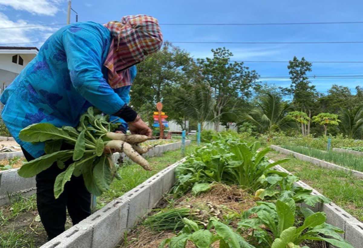 "แปลงสาธิตเกษตรทฤษฎีใหม่ "ศูนย์ห้วยทรายฯ รูปแบบมีกินมีขายได้ทั้งปี